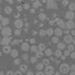 সিচুয়ান কুনওয়েই ল্যাংশেং এক্সট্রুশন ইন্টেলিজেন্ট ইকুইপমেন্ট কোং, লি.